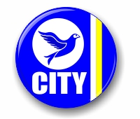 Cardiff City fc small badge